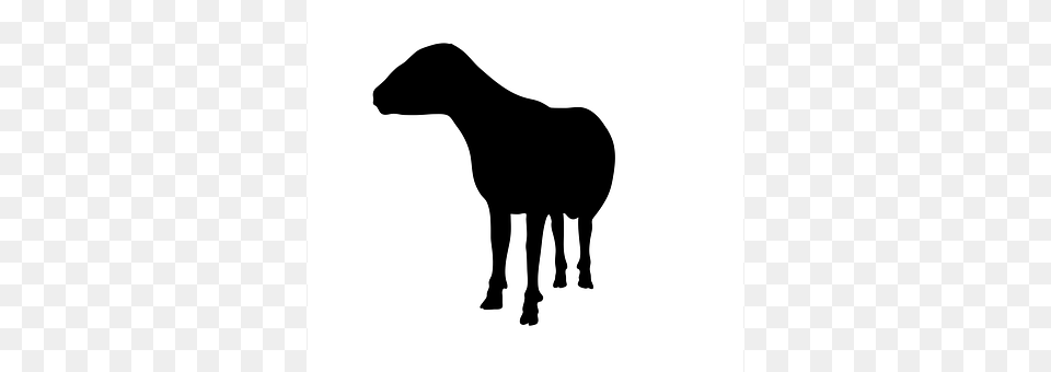 Sheep Silhouette, Animal, Canine, Dog Free Transparent Png