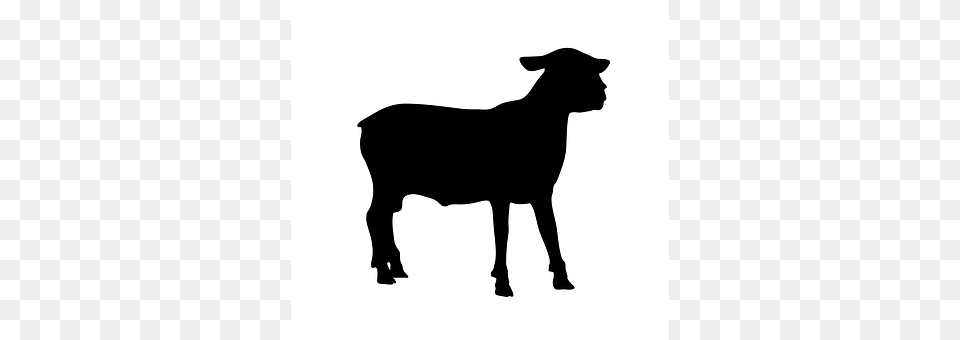 Sheep Silhouette, Animal, Canine, Dog Free Png Download