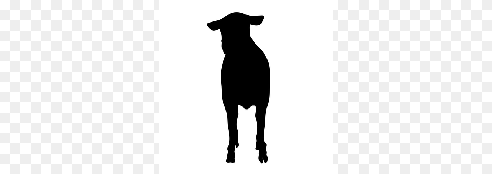 Sheep Silhouette, Animal, Canine, Dog Png Image