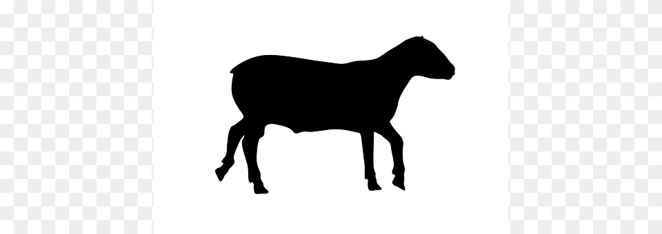 Sheep Silhouette, Animal, Cattle, Cow Png