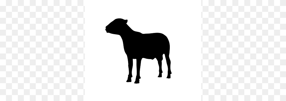 Sheep Silhouette, Animal, Canine, Dog Png
