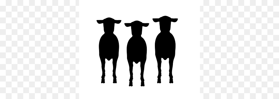 Sheep Silhouette, Animal, Cattle, Cow Free Png
