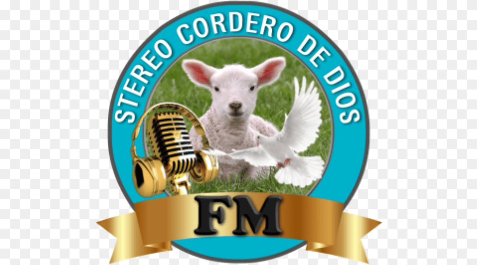 Sheep, Electrical Device, Microphone, Animal, Livestock Png Image