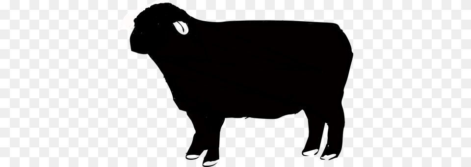 Sheep Png