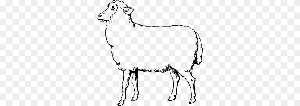 Sheep Livestock, Animal, Mammal Free Transparent Png
