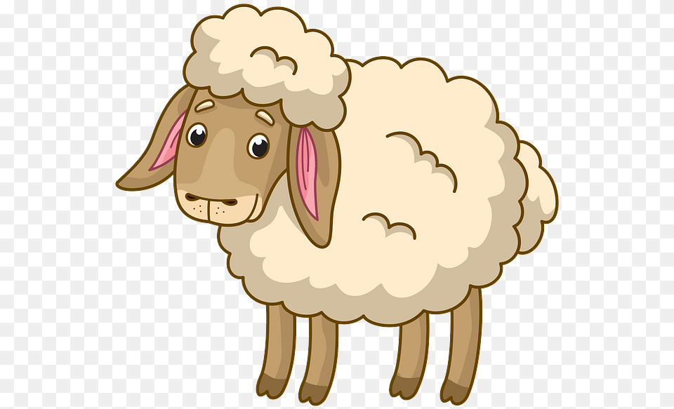 Sheep, Livestock, Animal, Mammal, Face Free Png Download