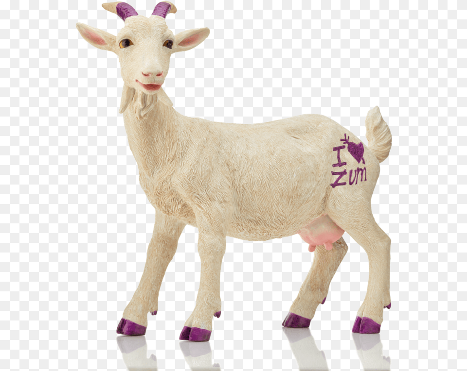 Sheep, Livestock, Animal, Mammal, Goat Png