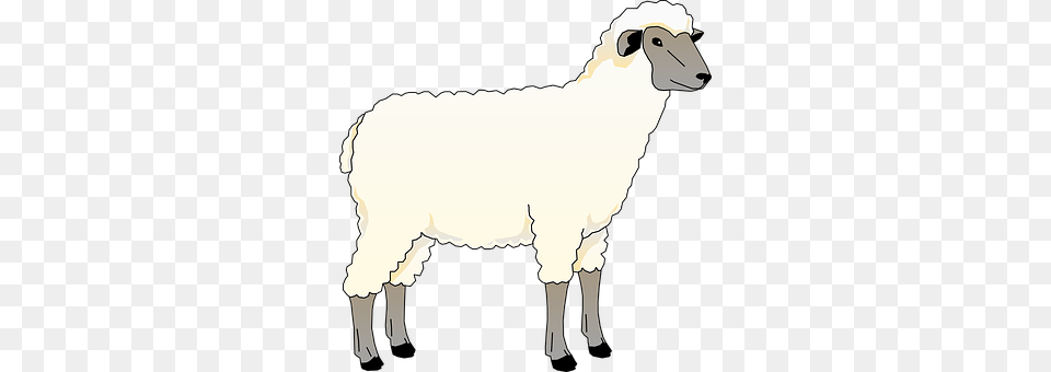 Sheep Livestock, Animal, Mammal, Person Free Transparent Png