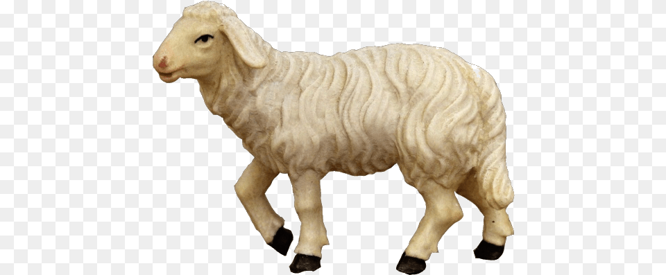 Sheep, Animal, Livestock, Mammal Png