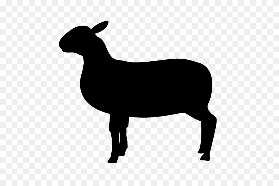 Sheep Animal Silhouette Illustrations, Gray Free Png Download
