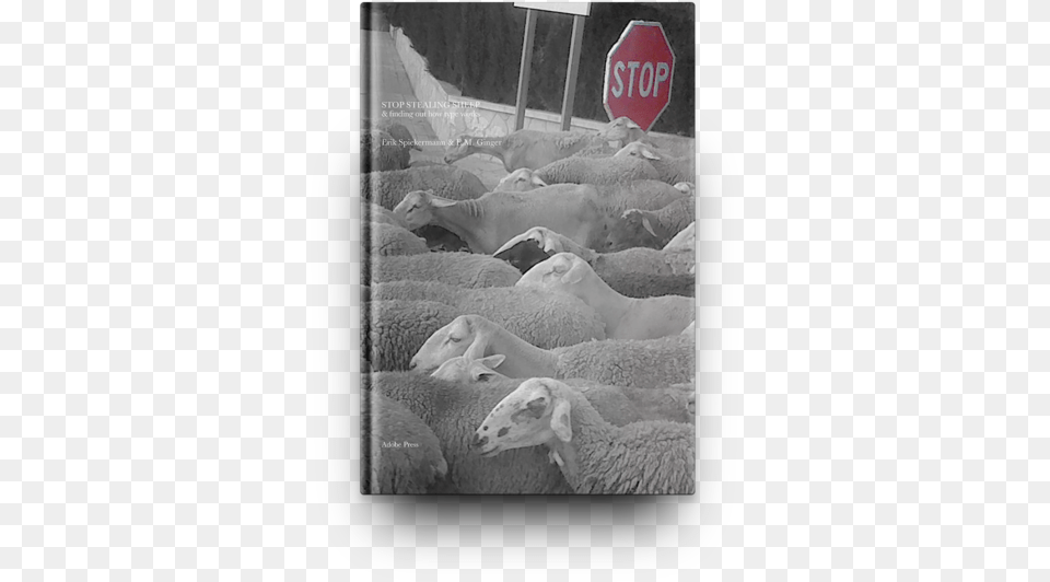 Sheep Book Mockup, Animal, Livestock, Mammal, Road Sign Free Png Download