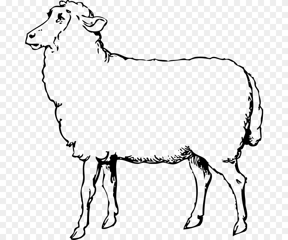 Sheep Clip Art, Gray Free Transparent Png