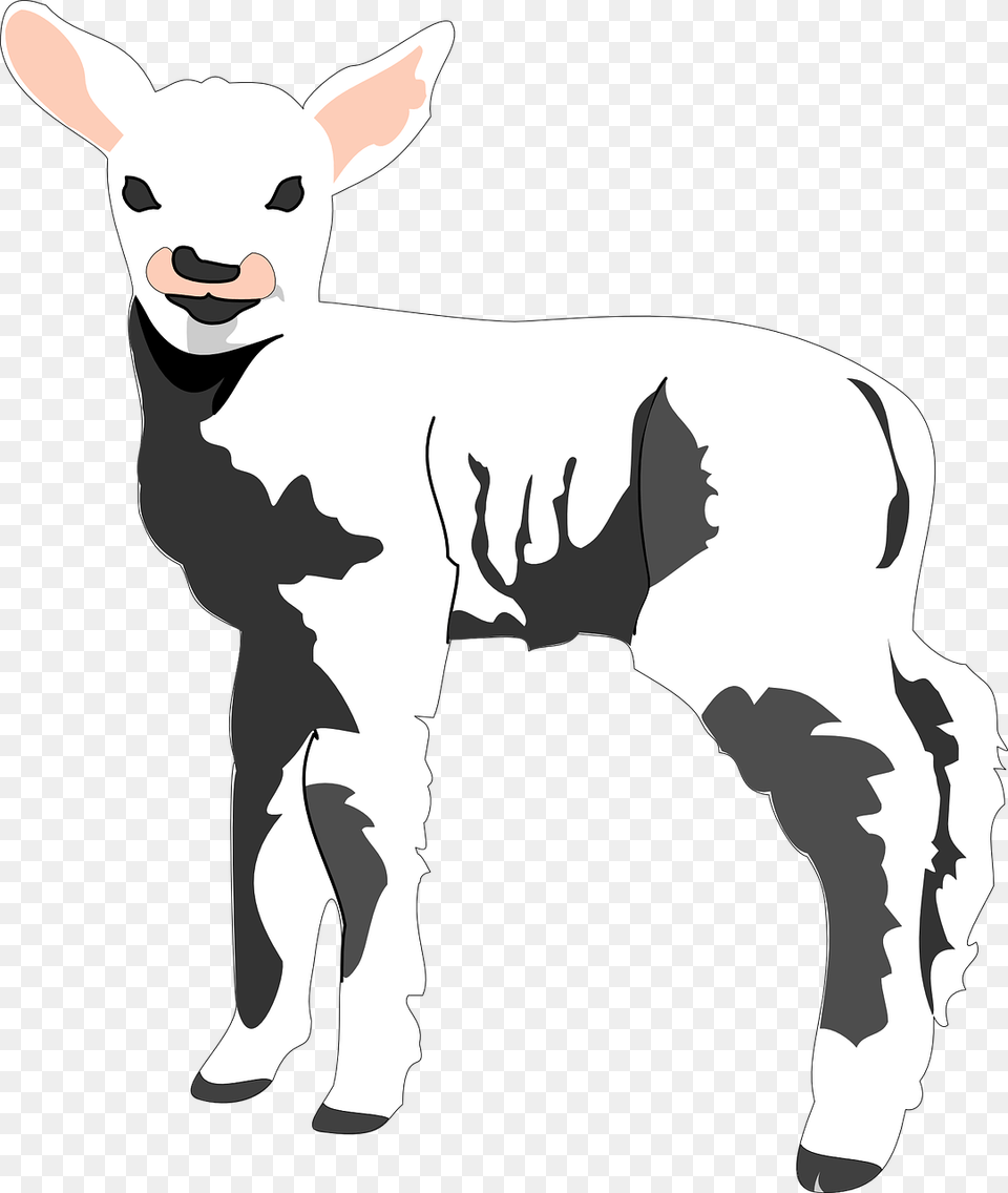 Sheep Clip Art, Livestock, Animal, Calf, Cattle Png