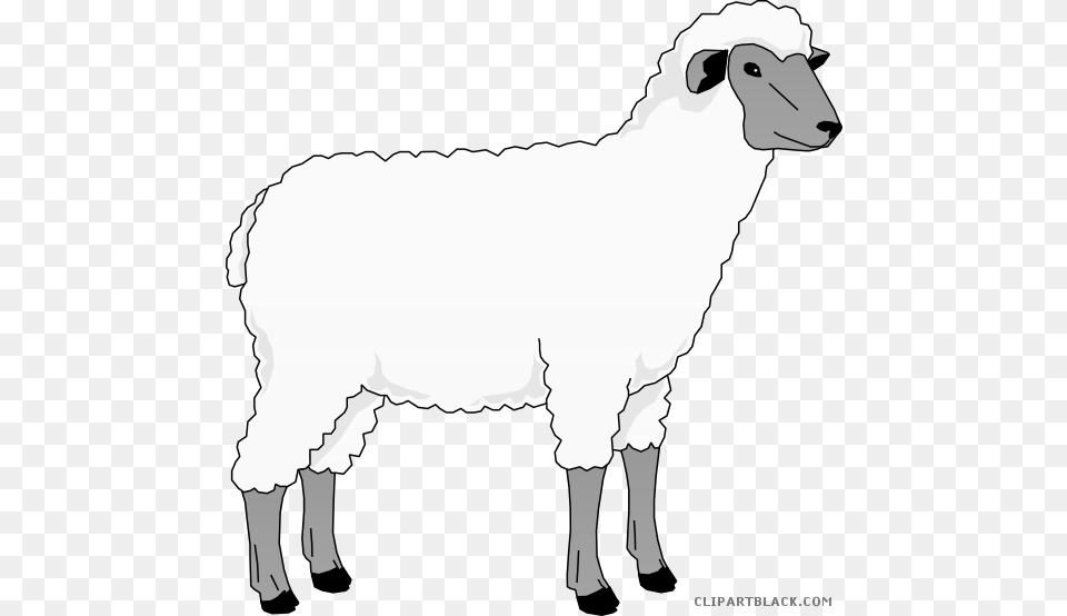 Sheep Clip Art Clipart Goat Merino Clip Art Sheep Clip Art, Livestock, Animal, Mammal, Person Free Transparent Png