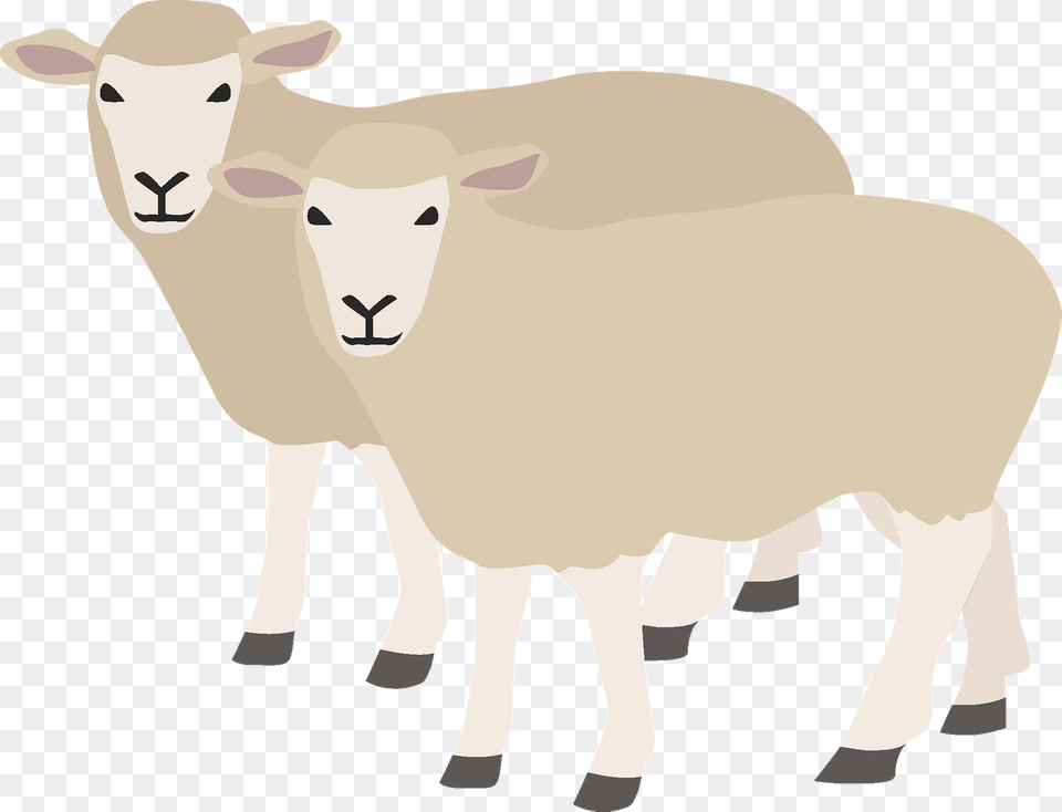 Sheep Clipart, Livestock, Animal, Mammal, Cattle Free Png Download