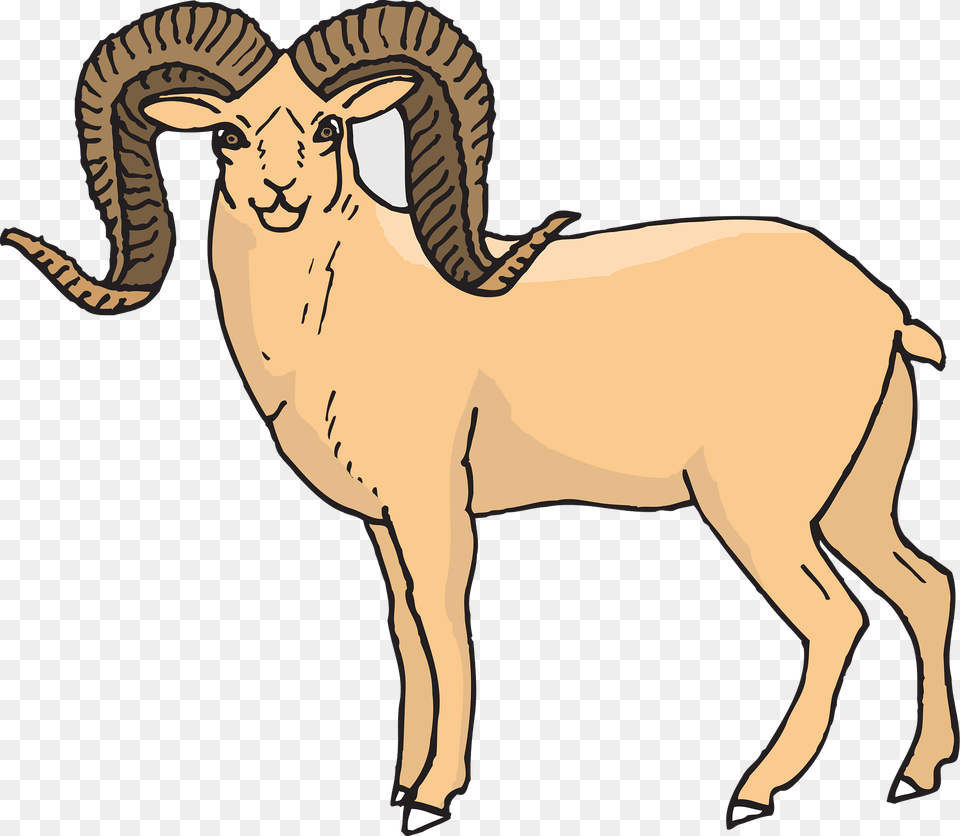 Sheep Clipart, Animal, Mammal, Person Png Image