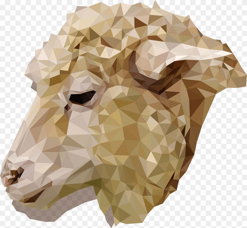 Sheep Clipart, Adult, Male, Man, Person Png