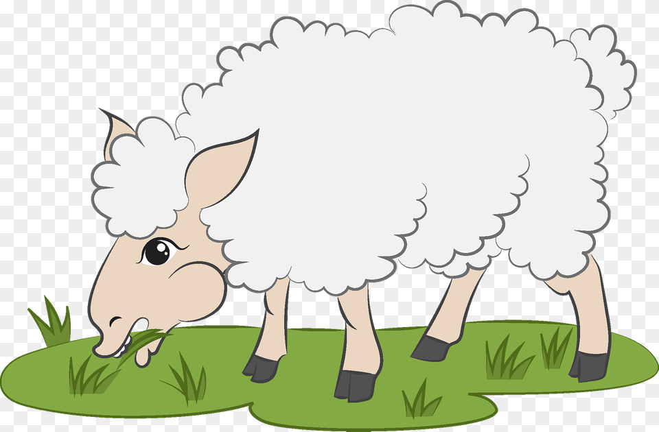 Sheep Clipart, Livestock, Baby, Person, Animal Free Png