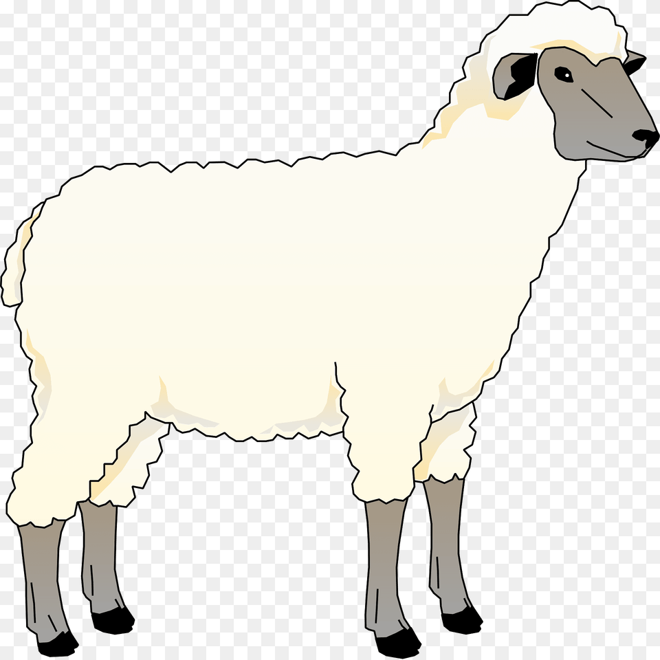 Sheep Clipart, Animal, Livestock, Mammal Png