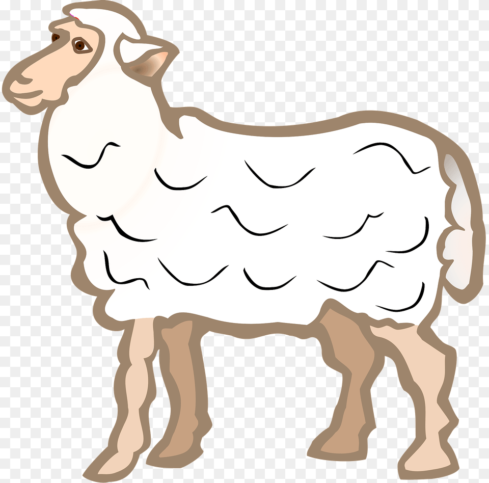 Sheep Clipart, Livestock, Animal, Mammal, Person Free Png