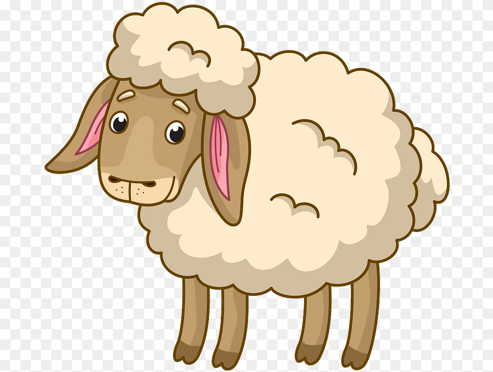 Sheep Clipart, Livestock, Baby, Person, Animal Free Transparent Png