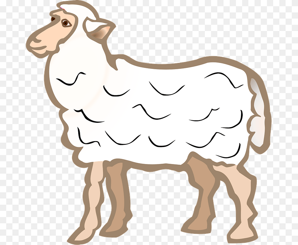 Sheep Clipart Sheep Coloured, Livestock, Animal, Mammal, Person Png