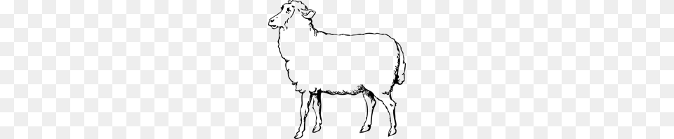 Sheep Clipart Sheep Icons, Gray Png