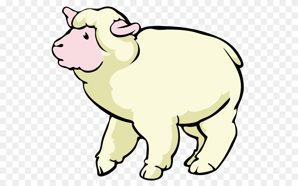 Sheep Clipart Small, Animal, Mammal, Baby, Person Free Png