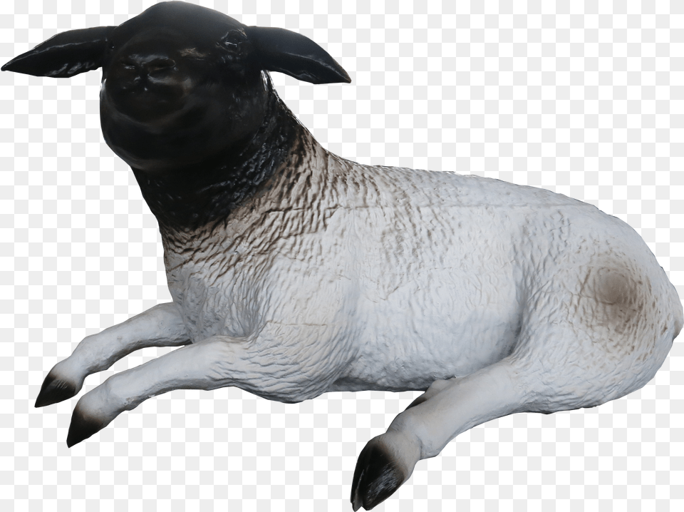 Sheep Download Dog, Animal, Livestock, Mammal, Bird Png Image