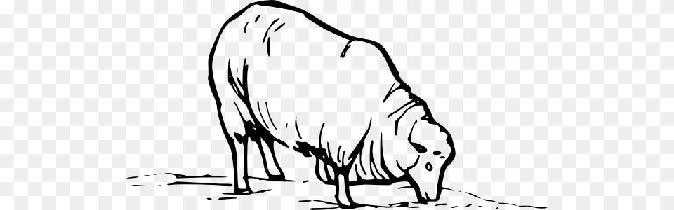 Sheep Eating Clip Art, Animal, Bull, Mammal, Face Png Image