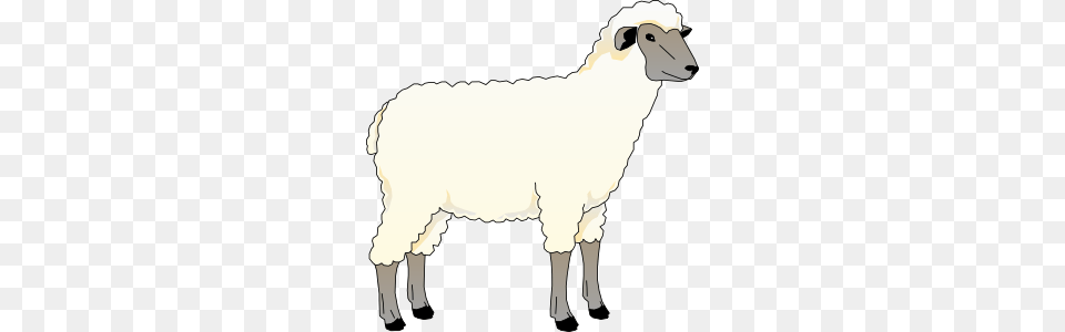 Sheep Ewe Clip Art Vector, Animal, Livestock, Mammal, Cattle Free Transparent Png