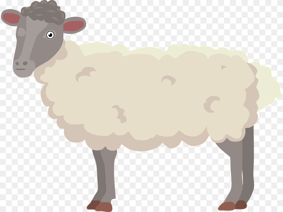 Sheep Fur Cartoon, Animal, Livestock, Mammal, Cattle Free Transparent Png