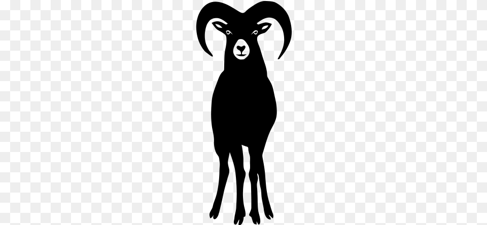Sheep Goat Mountain Ram Horn Horns Aries Jumbock Bighorn Kabron Santiago Cortes Gray Free Png Download