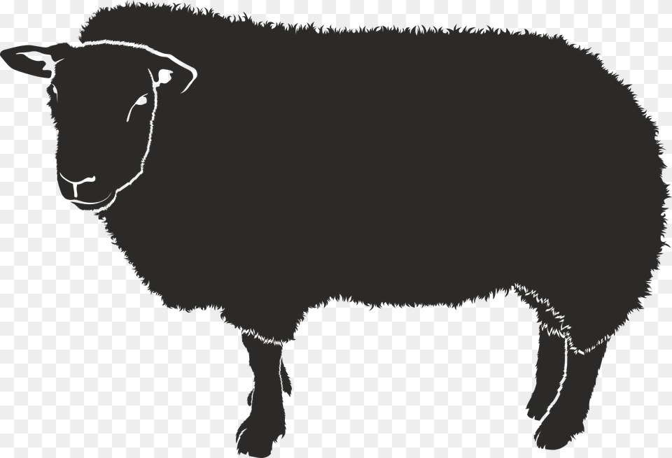 Sheep Graphic Sombra De Una Oveja, Livestock, Animal, Mammal, Person Free Png Download