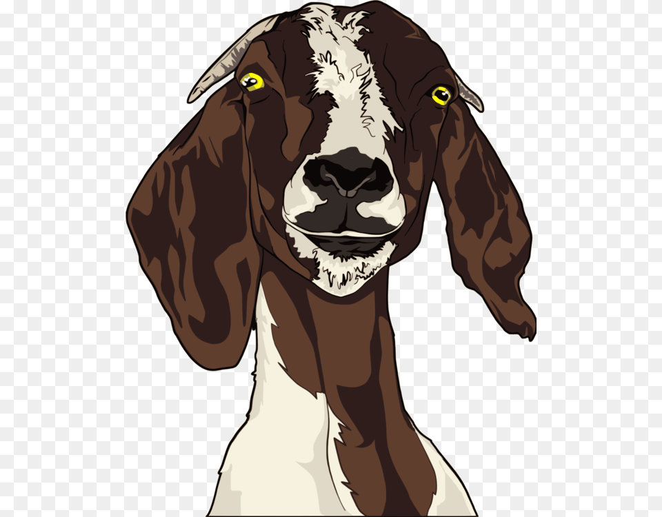 Sheep Head, Livestock, Person, Animal, Goat Free Transparent Png