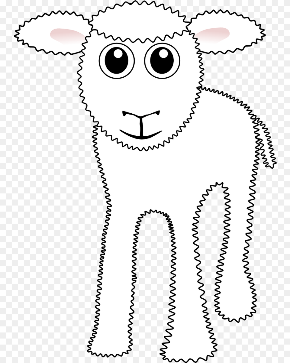 Sheep Head, Livestock, Face, Person, Baby Free Png Download