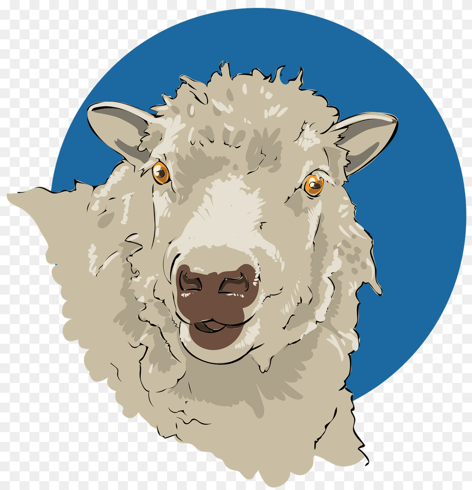 Sheep Head Clipart, Livestock, Animal, Mammal, Face Free Png Download