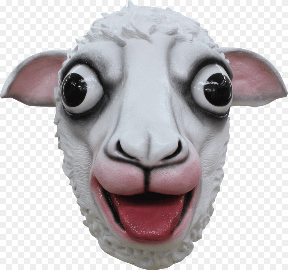 Sheep Head Sheep Head Background, Baby, Person, Livestock, Animal Png Image
