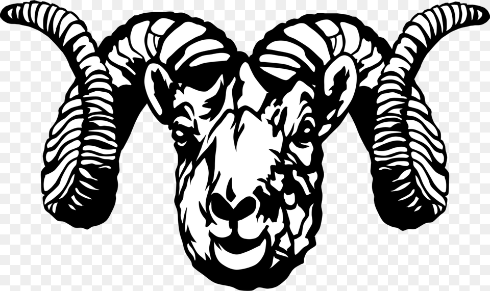 Sheep Head Skull Face Horns Mammal Livestock Black And White Ram Clip Art, Stencil, Baby, Person, Animal Png Image