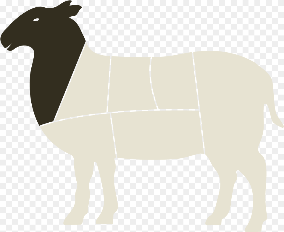 Sheep Horse Cattle Mammal Camel Horse, Person, Animal Png