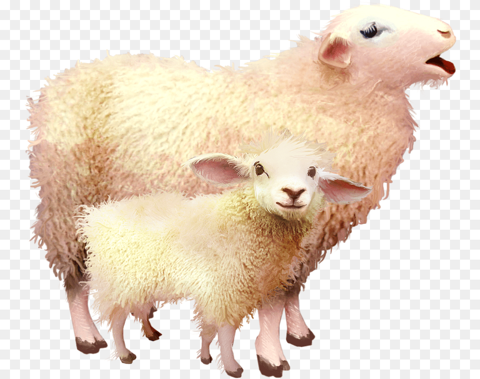 Sheep Mama Baby Freetoedit Baby Sheep, Animal, Livestock, Mammal Free Png Download