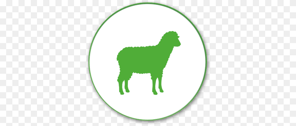 Sheep Pancosma Animal Feed, Pet, Canine, Dog, Mammal Free Png