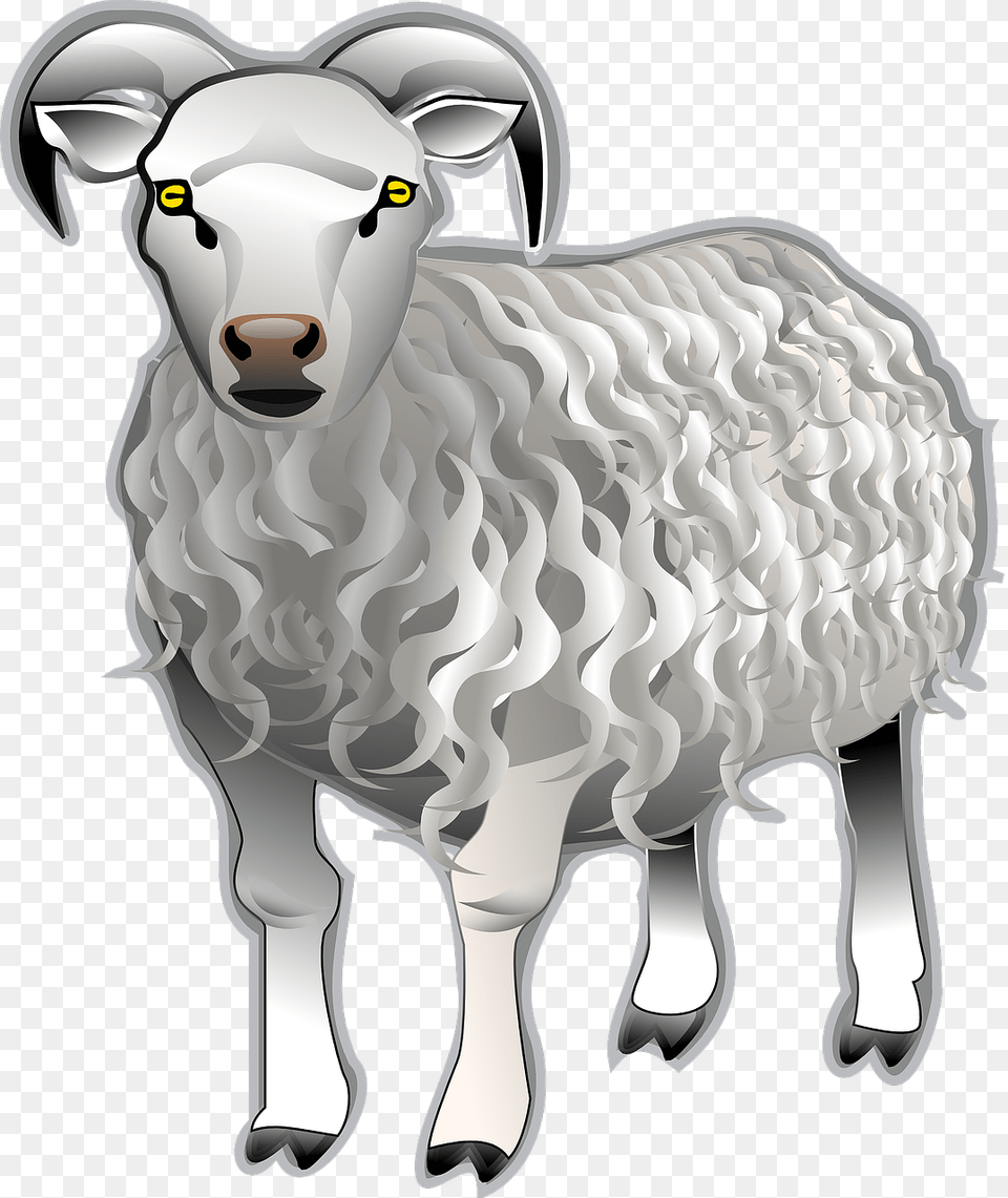 Sheep Ram Animal Photo Clip Art Kambing, Livestock, Mammal, Horse Free Transparent Png