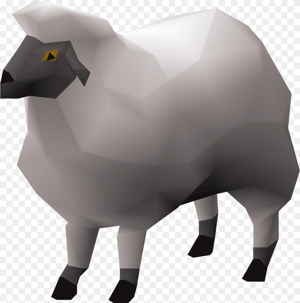 Sheep Red Sheep, Animal, Livestock, Mammal, Person Free Transparent Png