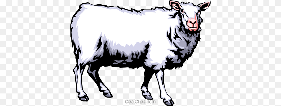 Sheep Royalty Free Vector Clip Art Illustration, Animal, Livestock, Mammal, Cattle Png