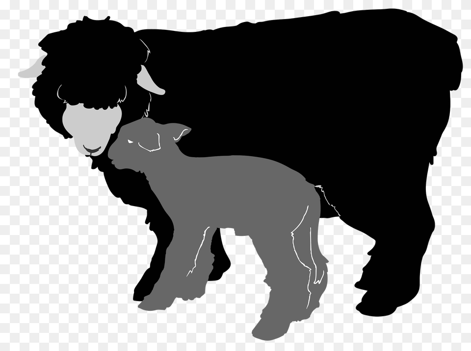 Sheep Silhouette 02 Clipart, Livestock, Animal, Mammal, Pig Free Transparent Png