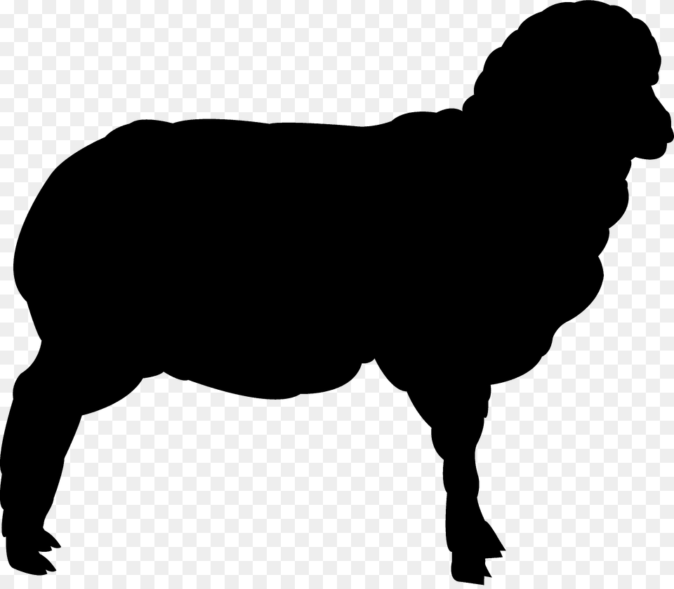 Sheep Silhouette, Person, Animal, Bull, Mammal Png Image