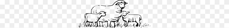 Sheep Standing Clip Art, Livestock, Animal, Mammal, Person Png