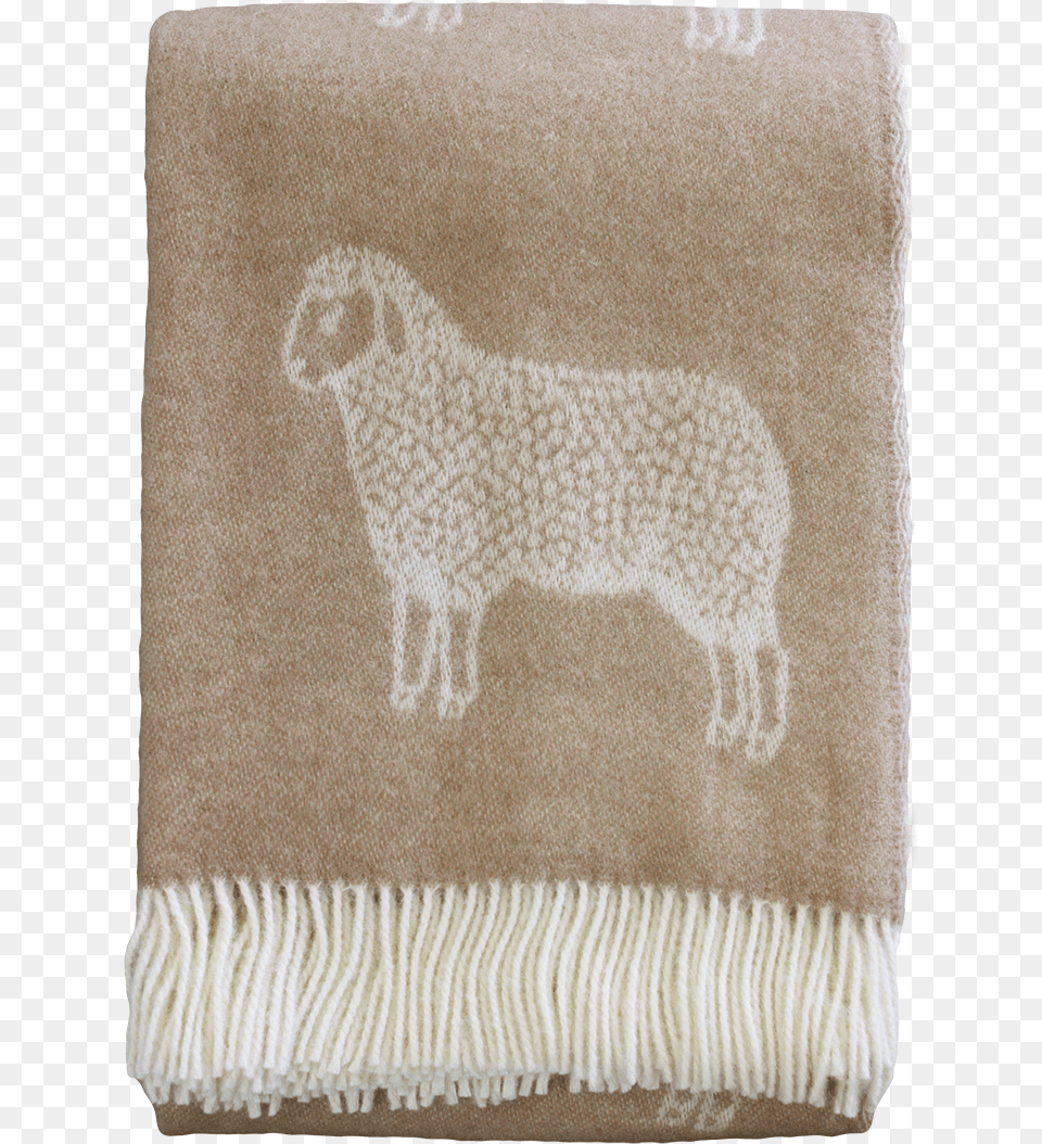 Sheep Wool English Cocker Spaniel, Home Decor, Rug, Blanket, Person Free Png Download