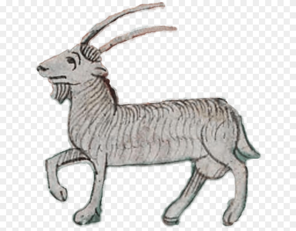 Sheepantelopecattle Like Mammal Clipart Royalty Goat, Animal, Wildlife, Dinosaur, Reptile Free Png Download